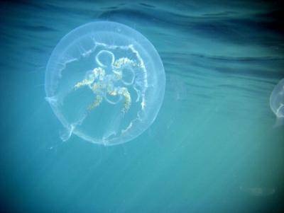 Прикрепленное изображение: VMBC5d8SVyg.jpg